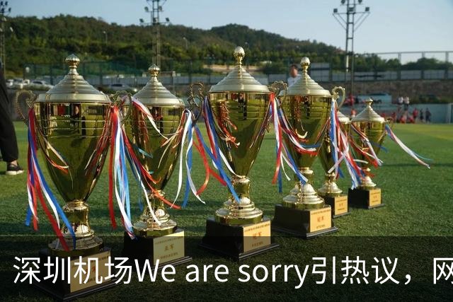 深圳机场We are sorry引热议，网友：sorry听800遍了